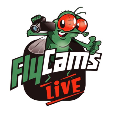 party-cams|FlyCams